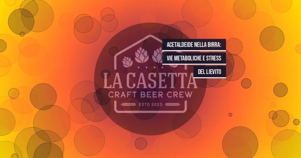 Acetaldeide nella birra: vie metaboliche e stress del lievito