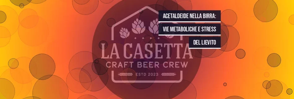 Acetaldeide nella birra: vie metaboliche e stress del lievito