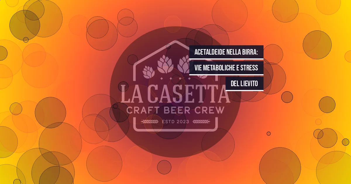Acetaldeide nella birra: vie metaboliche e stress del lievito