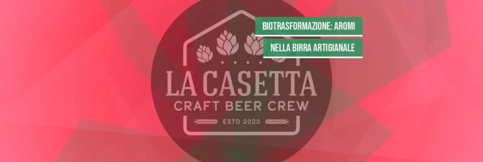 Biotrasformazione: Aromi nella Birra Artigianale