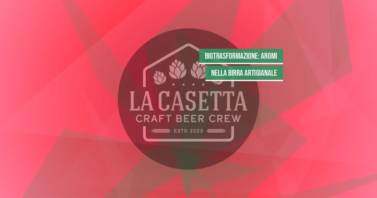 Biotrasformazione: Aromi nella Birra Artigianale