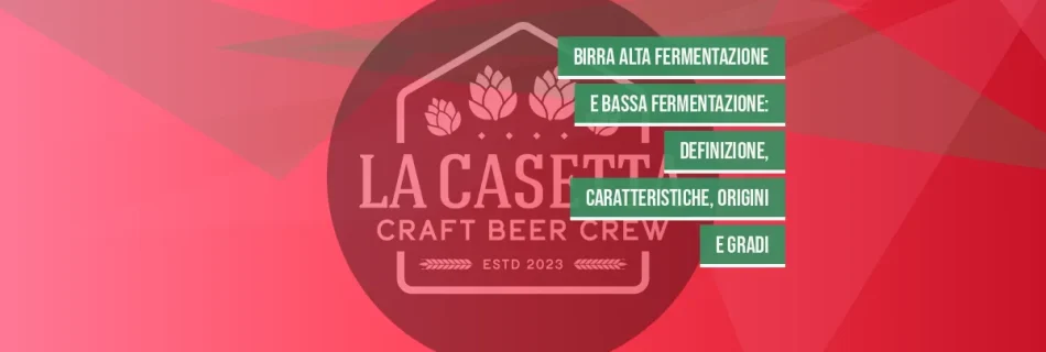 Birra alta fermentazione e bassa fermentazione: definizione, caratteristiche, origini e gradi