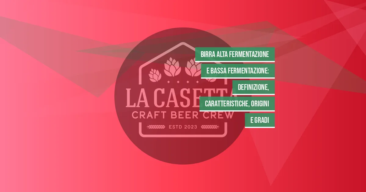 Birra alta fermentazione e bassa fermentazione: definizione, caratteristiche, origini e gradi