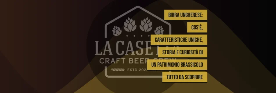 Birra Ungherese: cos’è, caratteristiche uniche, storia e curiosità di un patrimonio brassicolo tutto da scoprire