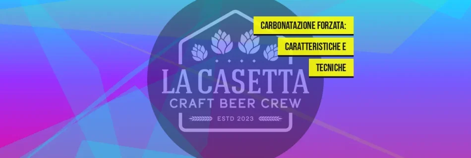 Carbonatazione Forzata: Caratteristiche e Tecniche