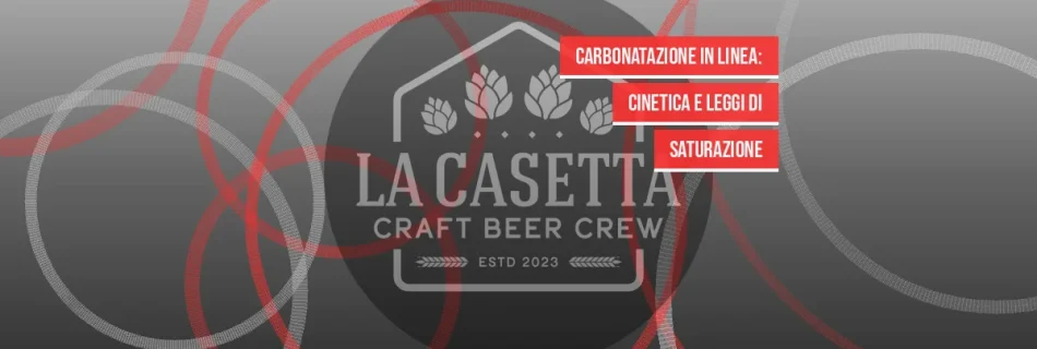 Carbonatazione in linea: cinetica e leggi di saturazione