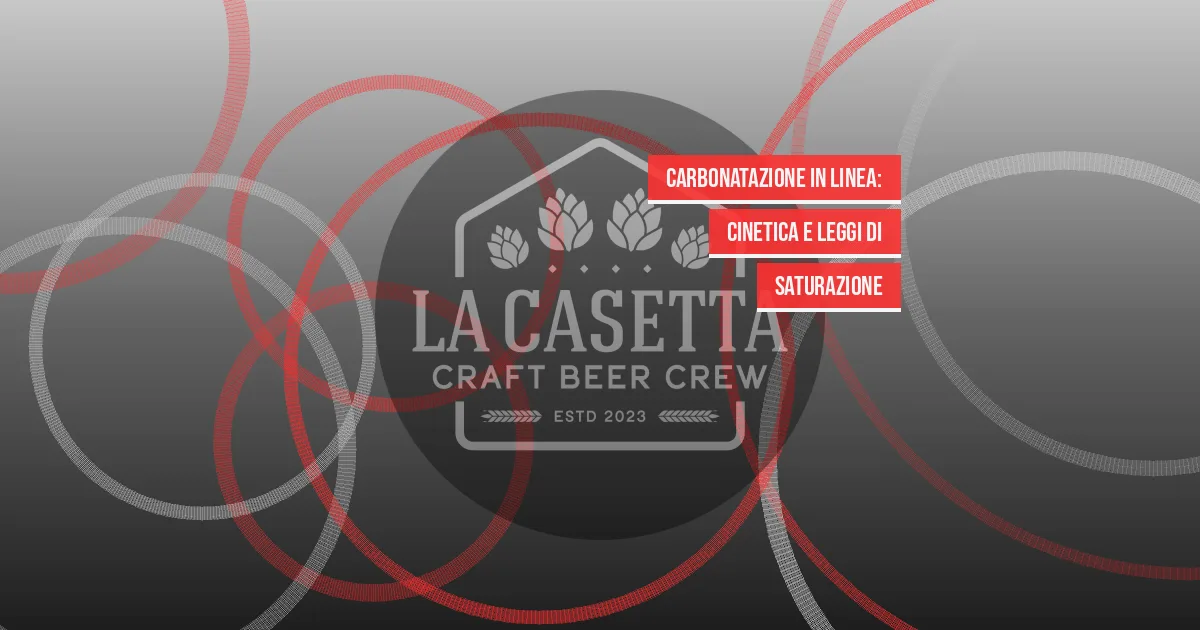 Carbonatazione in linea: cinetica e leggi di saturazione