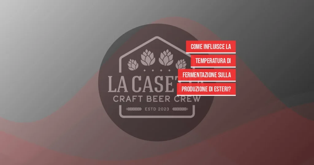 Come Influisce La Temperatura Di Fermentazione Sulla Produzione Di Esteri?