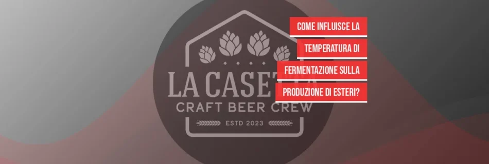 Come Influisce La Temperatura Di Fermentazione Sulla Produzione Di Esteri?