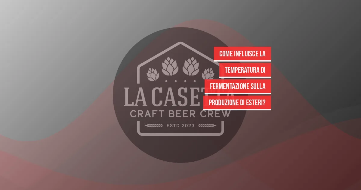 Come Influisce La Temperatura Di Fermentazione Sulla Produzione Di Esteri?