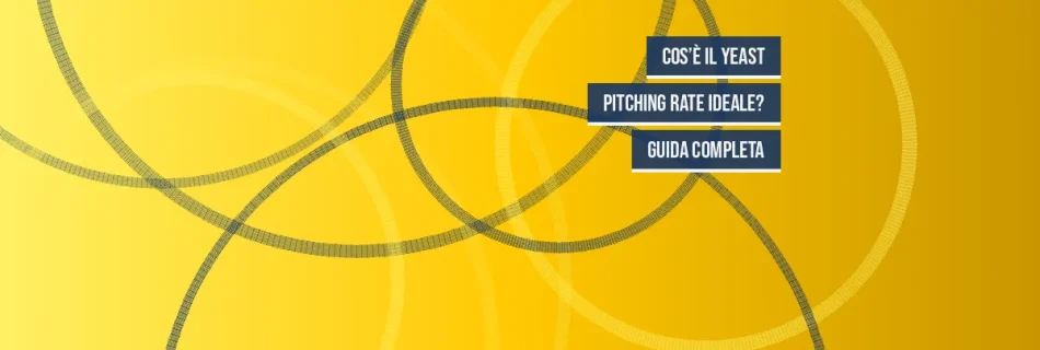 Cos’è il Yeast Pitching Rate Ideale? Guida Completa