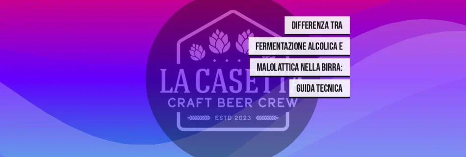 Differenza tra fermentazione alcolica e malolattica nella birra: guida tecnica