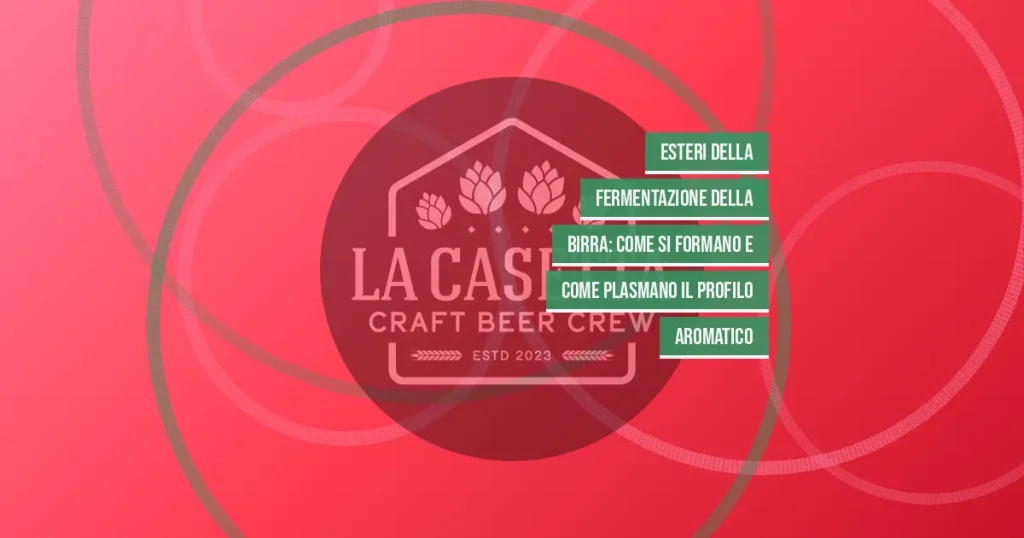 Esteri della Fermentazione della Birra: Come Si Formano e Come Plasmano il Profilo Aromatico