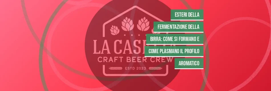 Esteri della Fermentazione della Birra: Come Si Formano e Come Plasmano il Profilo Aromatico