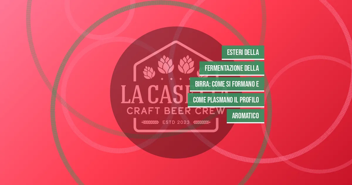 Esteri della Fermentazione della Birra: Come Si Formano e Come Plasmano il Profilo Aromatico