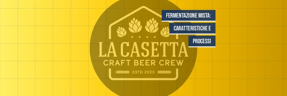 Fermentazione Mista: Caratteristiche e Processi