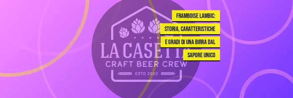 Framboise Lambic: storia, caratteristiche e gradi di una birra dal sapore unico