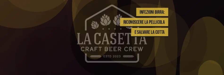 Infezioni Birra: Riconoscere la Pellicola e Salvare la Cotta