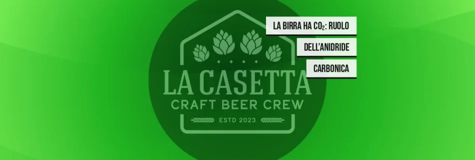La Birra Ha CO₂: Ruolo dell’Anidride Carbonica