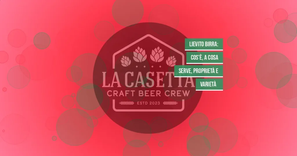Lievito birra: cos’è, a cosa serve, proprietà e varietà  