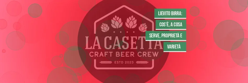 Lievito birra: cos’è, a cosa serve, proprietà e varietà  