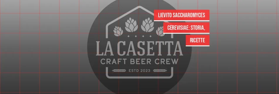 Lievito Saccharomyces cerevisiae: storia, ricette
