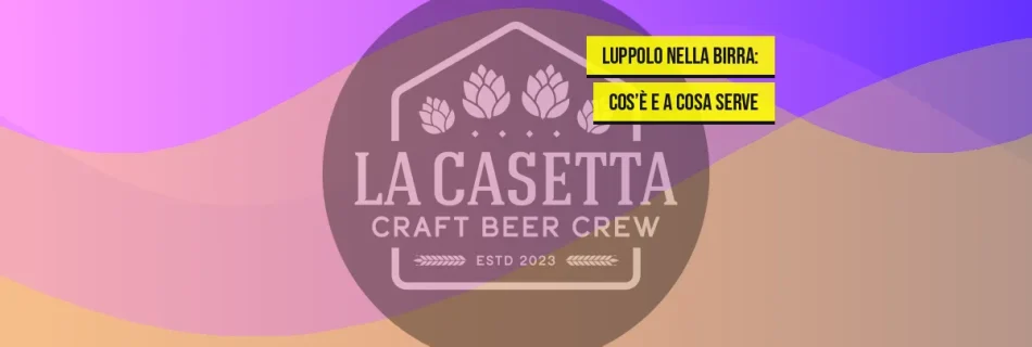 Luppolo nella birra: cos’è e a cosa serve