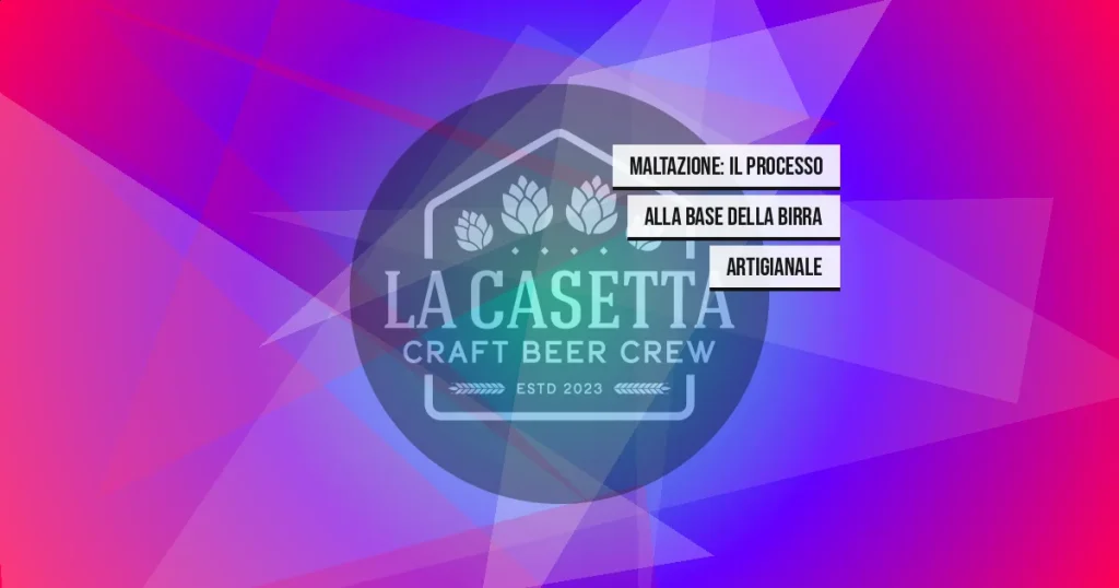 Maltazione: Il Processo alla Base della Birra Artigianale