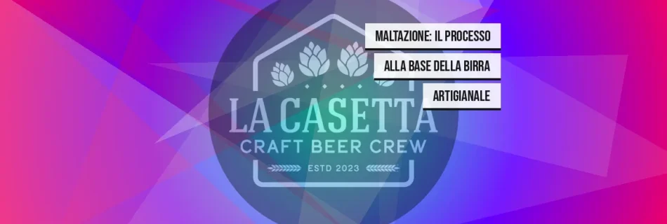 Maltazione: Il Processo alla Base della Birra Artigianale