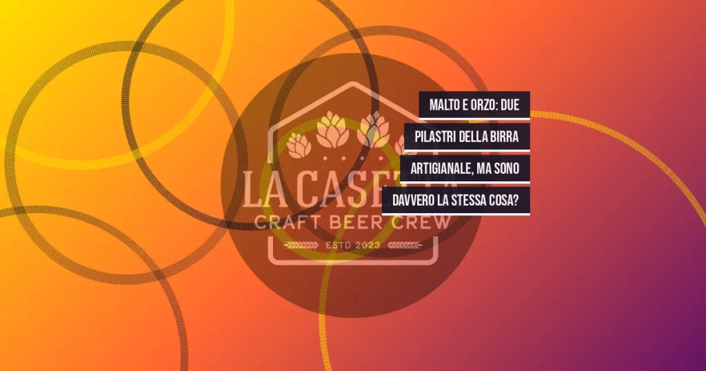 Malto e Orzo: Due Pilastri della Birra Artigianale, Ma Sono Davvero la Stessa Cosa?
