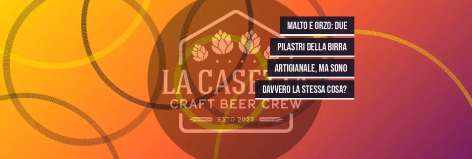 Malto e Orzo: Due Pilastri della Birra Artigianale, Ma Sono Davvero la Stessa Cosa?