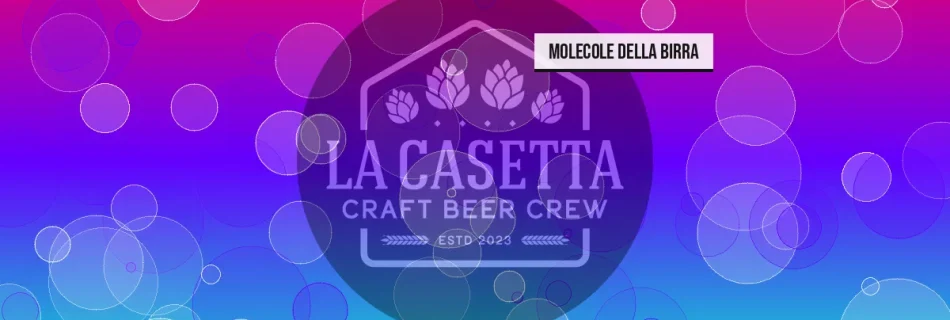 Molecole della birra