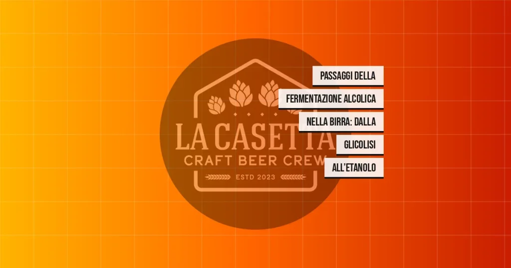Passaggi della fermentazione alcolica nella birra: dalla glicolisi all’etanolo
