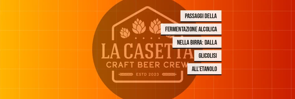 Passaggi della fermentazione alcolica nella birra: dalla glicolisi all’etanolo