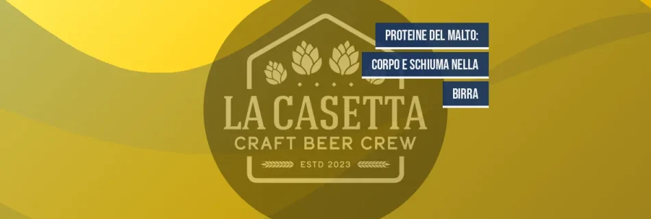 Proteine del Malto: Corpo e Schiuma nella Birra