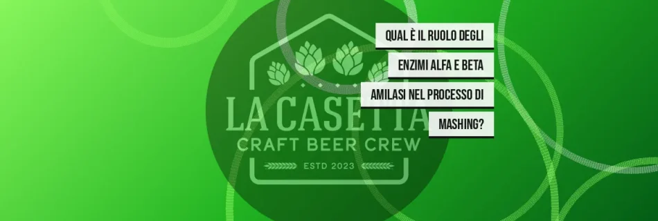 Qual È Il Ruolo Degli Enzimi Alfa E Beta Amilasi Nel Processo Di Mashing?