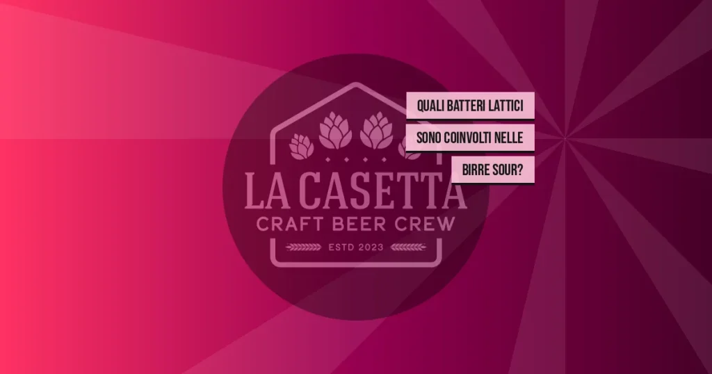 Quali Batteri Lattici Sono Coinvolti Nelle Birre Sour?