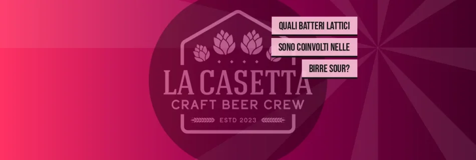 Quali Batteri Lattici Sono Coinvolti Nelle Birre Sour?