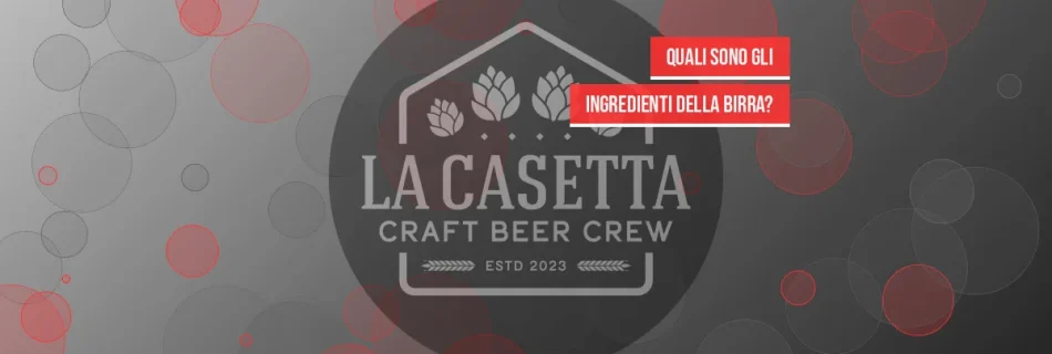 Quali sono gli ingredienti della birra?