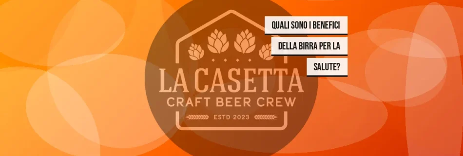 Quali sono i benefici della birra per la salute?