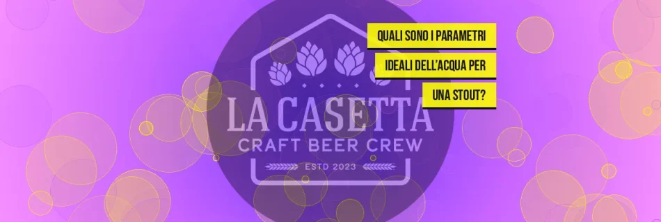 Quali Sono i Parametri Ideali dell’Acqua per una Stout?