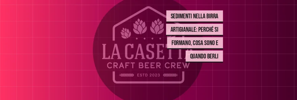 Sedimenti nella birra artigianale: perché si formano, cosa sono e quando berli