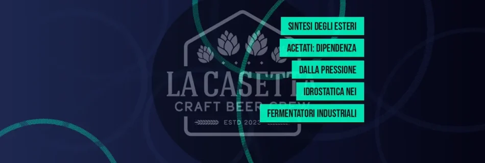 Sintesi degli esteri acetati: dipendenza dalla pressione idrostatica nei fermentatori industriali