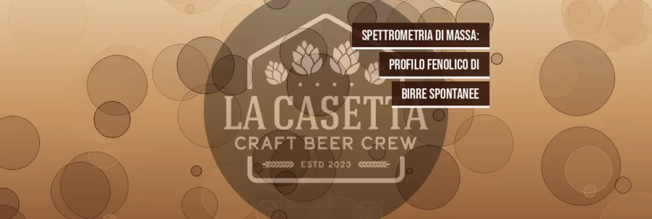 Spettrometria di massa: profilo fenolico di birre spontanee