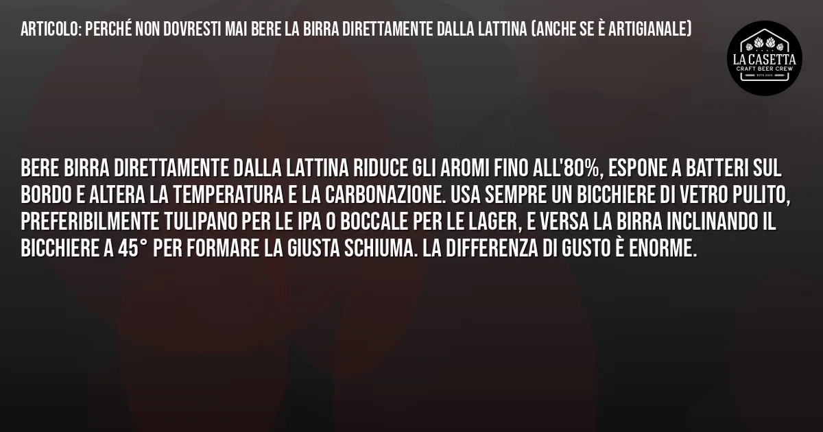 Sintesi TL;DR: Perché Non Dovresti Mai Bere La Birra Direttamente Dalla Lattina (Anche Se È Artigianale)