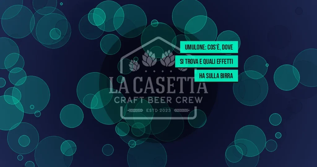 Umulone: cos’è, dove si trova e quali effetti ha sulla birra