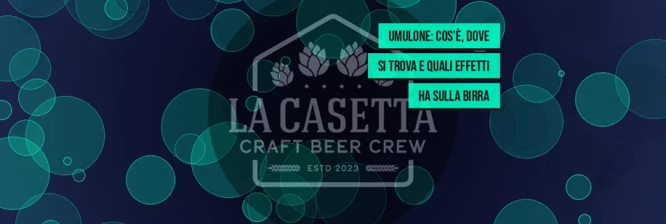 Umulone: cos’è, dove si trova e quali effetti ha sulla birra