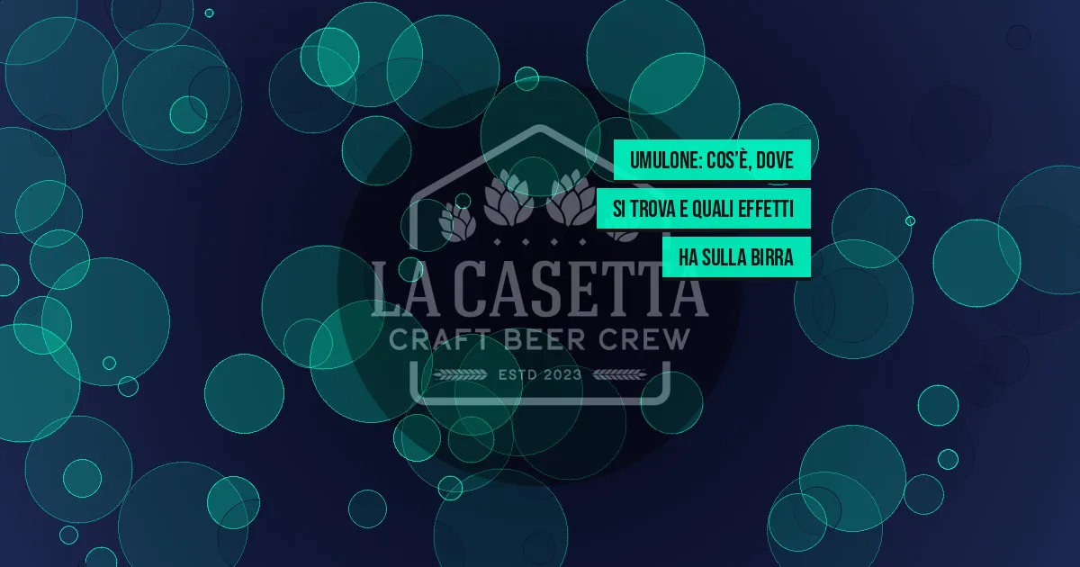 Umulone: cos’è, dove si trova e quali effetti ha sulla birra