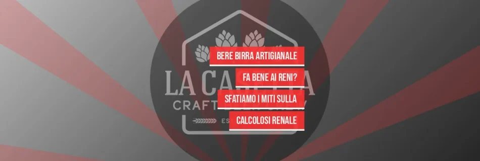 Bere Birra Artigianale Fa Bene ai Reni? Sfatiamo i Miti sulla Calcolosi Renale