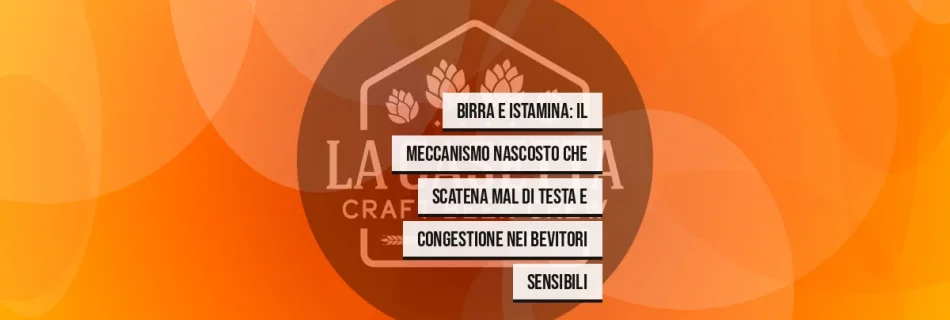 Birra e istamina: il meccanismo nascosto che scatena mal di testa e congestione nei bevitori sensibili